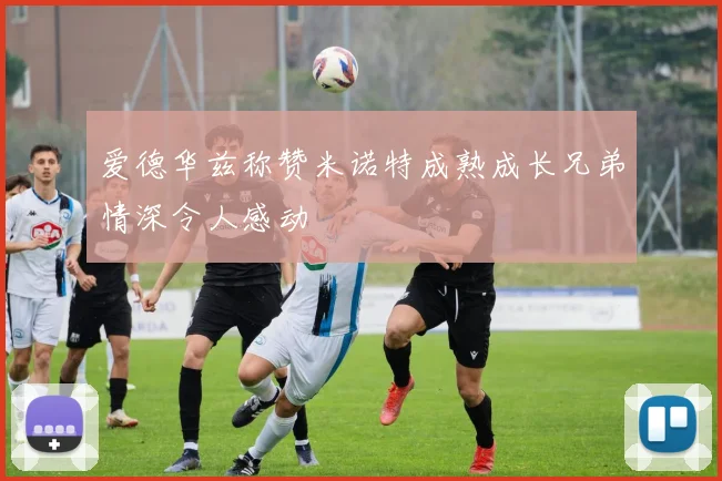 爱德华兹称赞米诺特成熟成长兄弟情深令人感动