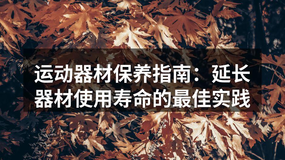 运动器材保养指南：延长器材使用寿命的最佳实践