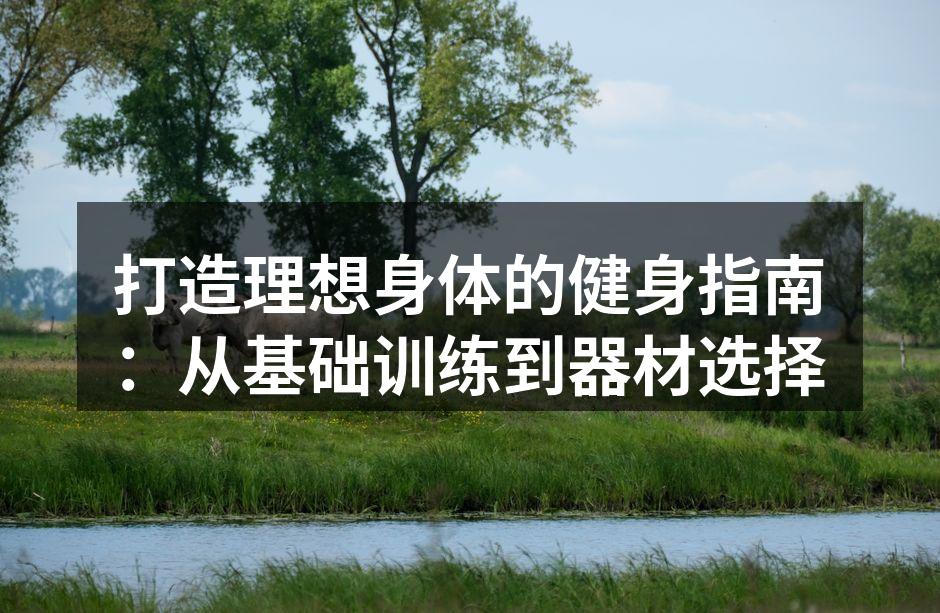 打造理想身体的健身指南：从基础训练到器材选择