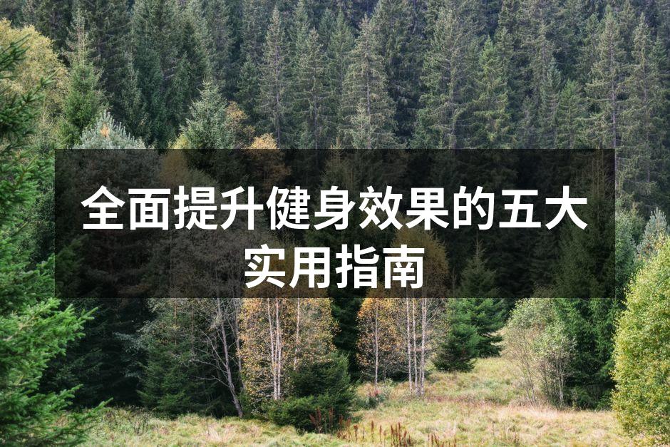 全面提升健身效果的五大实用指南