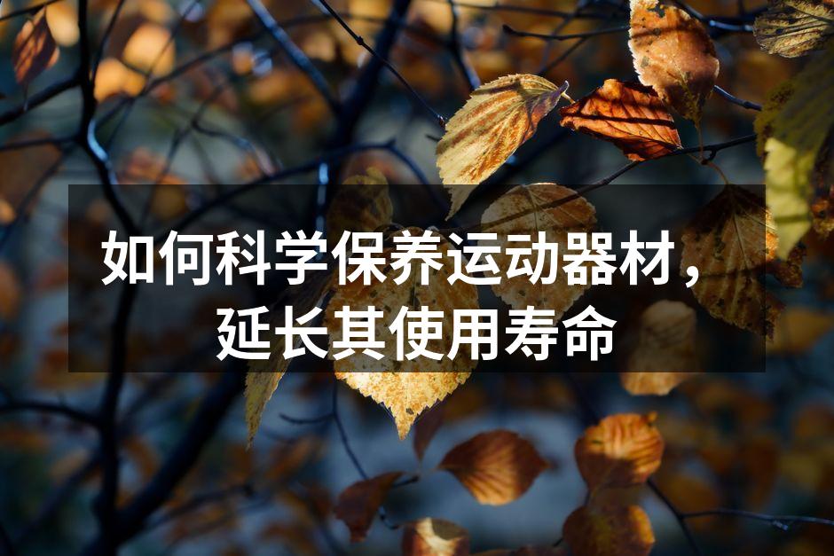 如何科学保养运动器材，延长其使用寿命
