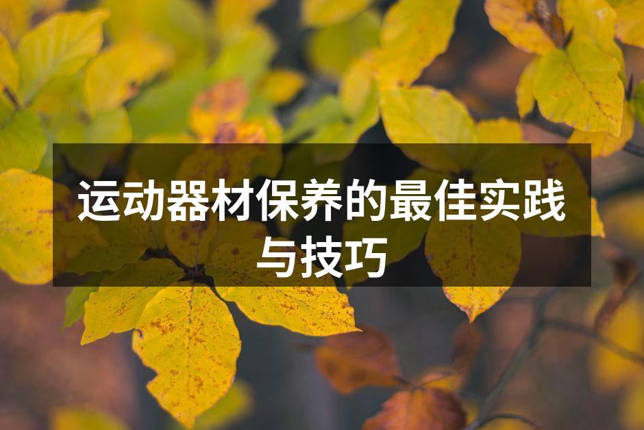运动器材保养的最佳实践与技巧