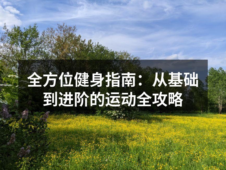 全方位健身指南：从基础到进阶的运动全攻略