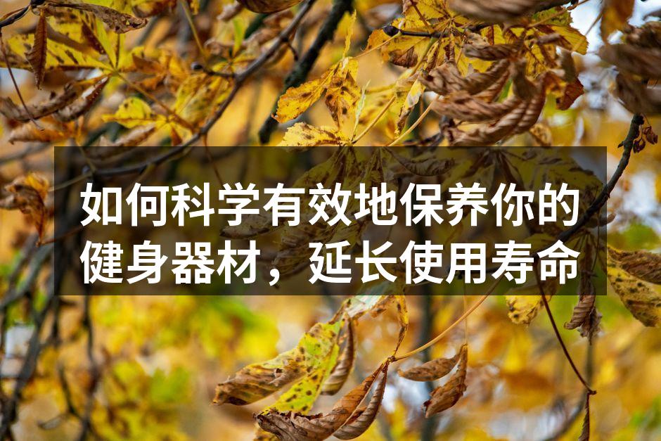 如何科学有效地保养你的健身器材，延长使用寿命
